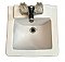 Antique Crane Petite Vitreous China Wall-Hung Bathroom Sink