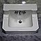 Antique Shelf Back Wall Hung Sink