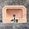 Antique Pink Case Wall Hung Sink