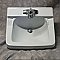 Antique Crane Wall Hung Sink