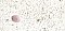 Antique Porcelain Shoulder Cove Base - Pink