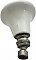 Antique White Porcelain Shower Head - Circa 1920