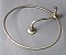 Nickel Shower Head & Ring