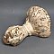 Antique Cast Iron Bathtub Claw Foot - Circa 1900