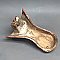 Antique Cast Iron Bathtub Claw Foot - Circa 1900