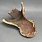 Antique Cast Iron Bathtub Claw Foot - Circa 1900