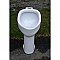 Antique Crane Floor Mounted urinal