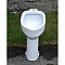 Antique Crane Floor Mounted urinal