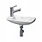 Isabella Collection Small Wall Mount Basin with Center Drain