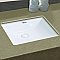 Isabella Plus Collection  21 inch Rectangular Undermount basin with overflow and rear center drain