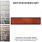 Luca Lava 3-1/8" x 12-3/8" Ceramic Wall Tile - 25 Tiles Per Case - 7.0 Square Feet