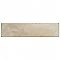 Luca Shell 3-1/8" x 12-3/8" Ceramic Wall Tile - 25 Tiles Per Case - 7.0 Square Feet