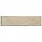 Luca Shell 3-1/8" x 12-3/8" Ceramic Wall Tile - 25 Tiles Per Case - 7.0 Square Feet