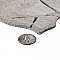 Andorra Marfil 10-3/8" x 18-3/4" Ceramic Wall Tile - 8 Tiles Per Case - 10.88 Sq. Ft.