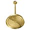Kingston Brass K225K27 10" Showerhead with 17" Ceiling Mounted Shower Arm - Brushed Brass