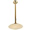 Kingston Brass K236K22 Shower Scape 7-3/4 Inch Showerhead with 17 in. Ceiling Mount Shower Arm - Polished Brass