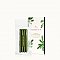 Thymes Frasier Fir Car Diffuser Refill