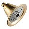 Kingston Brass KX367 Shower Scape 2-Function 6-Inch Shower Head - Brushed Brass