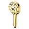 Kingston Brass KXH154A2 Vilbosch 5-Function Hand Shower - Polished Brass